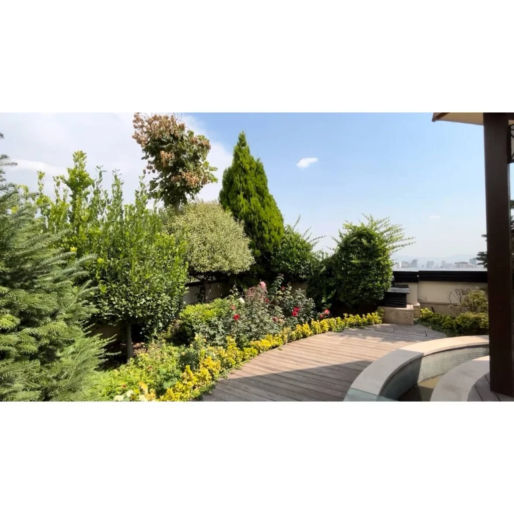 نارسیس کوهسار