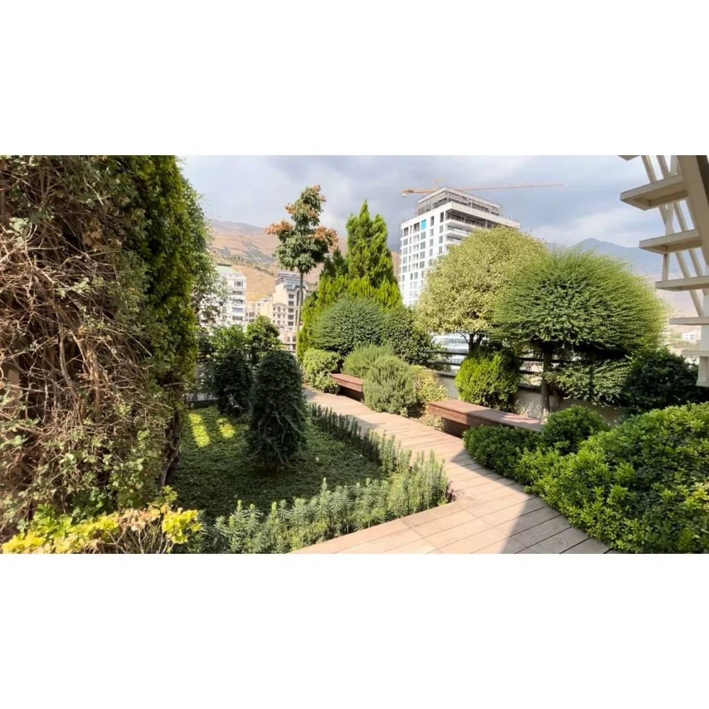 نارسیس کوهسار