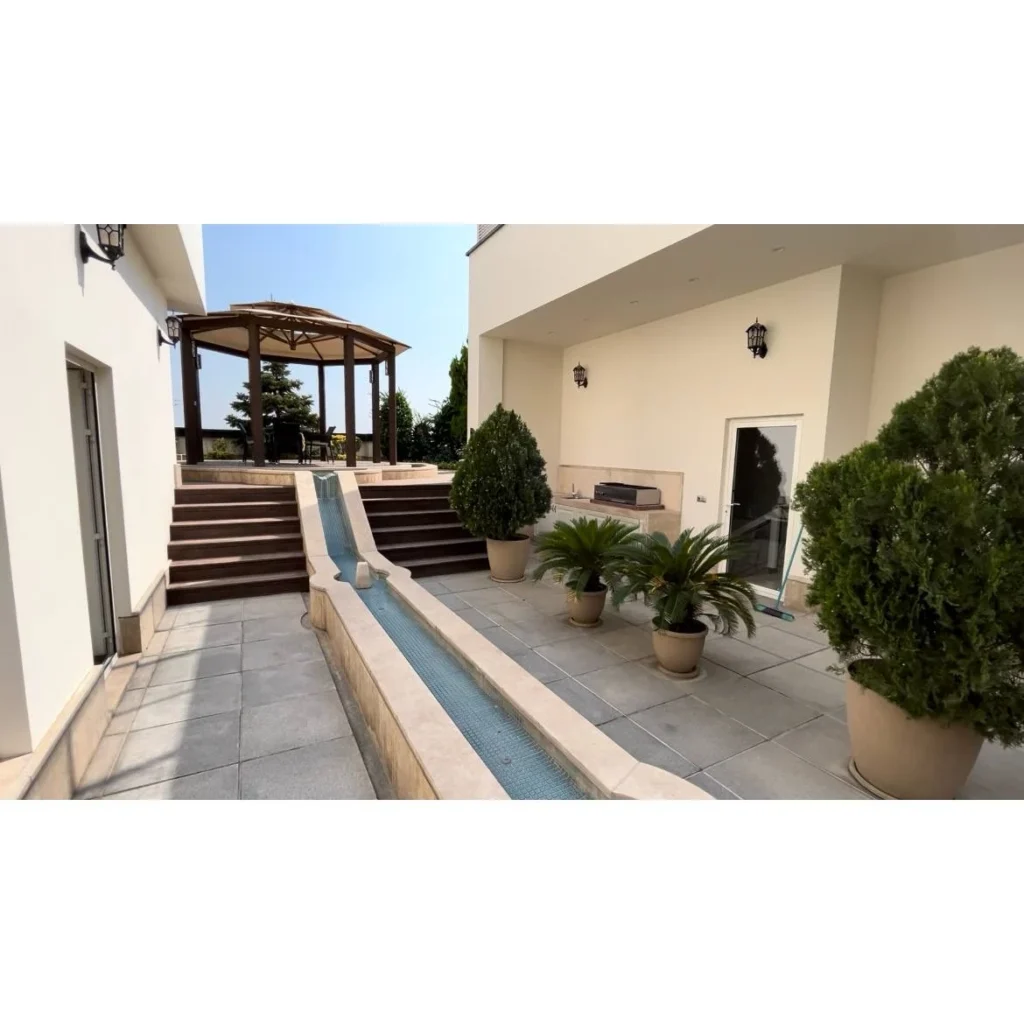 نارسیس کوهسار